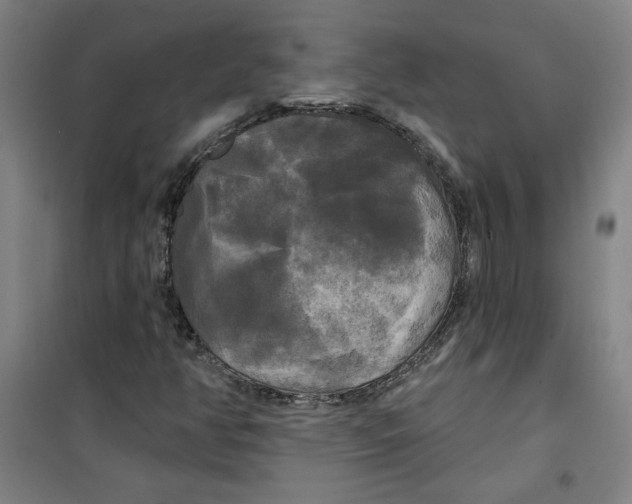 X0000100331350200807031225