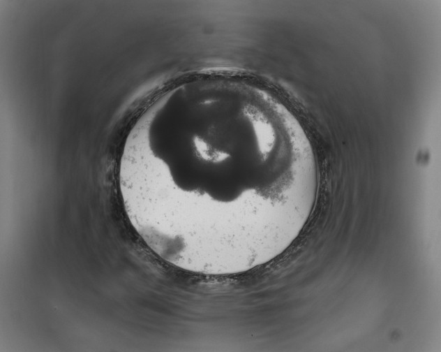 X0000100331351200807031225