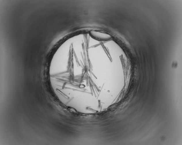 X0000100331352200807031225