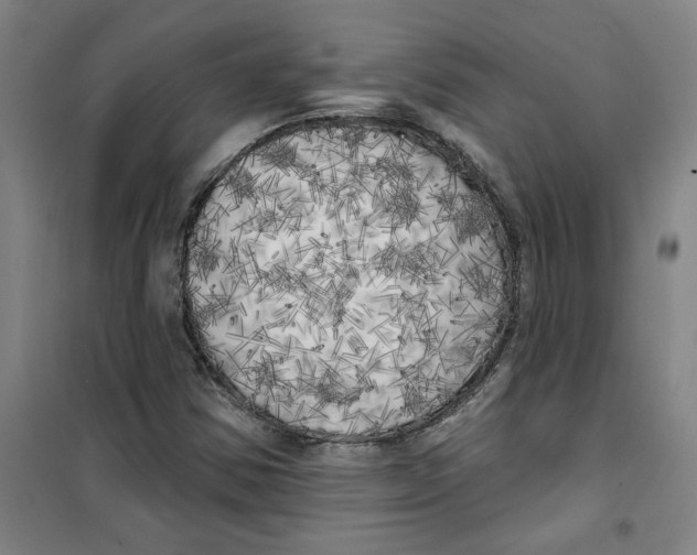 X0000100331354200807031225