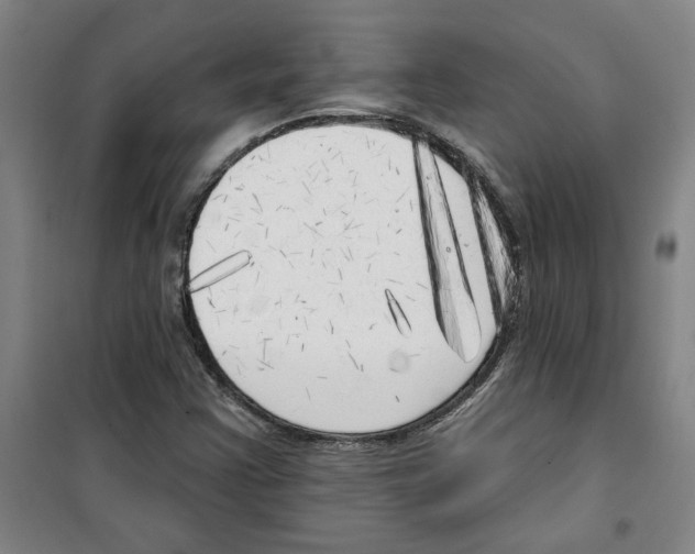 X0000100331355200807031225