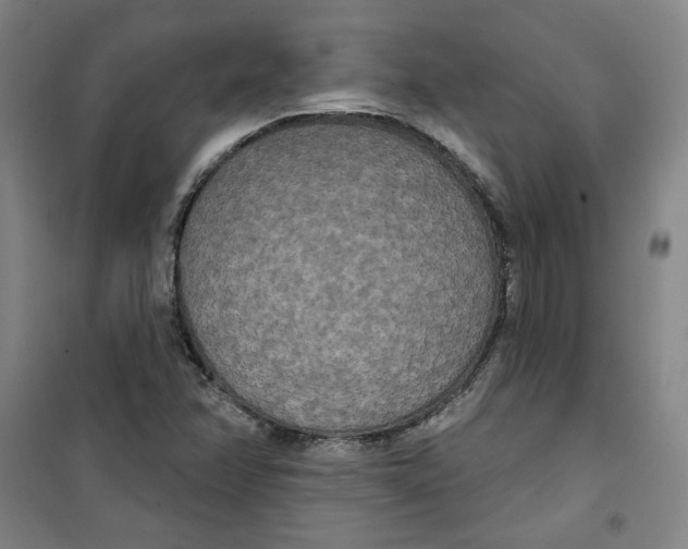 X0000100331358200807031225