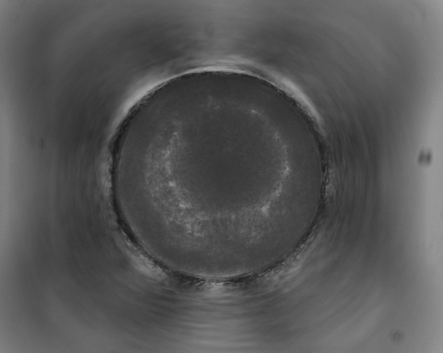 X0000100331360200807031225