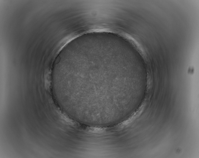 X0000100331361200807031225