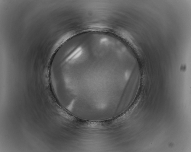 X0000100331362200807031225