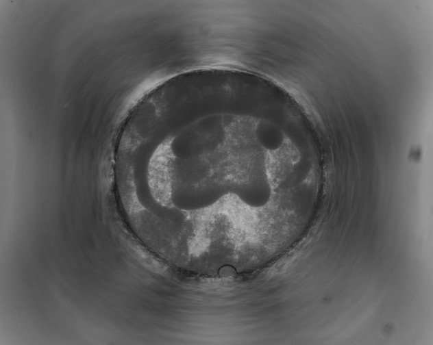 X0000100331363200807031225