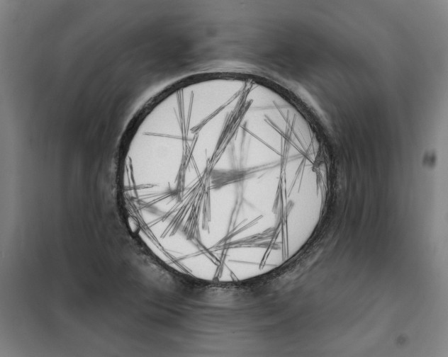X0000100331364200807031225