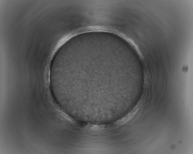 X0000100331365200807031225