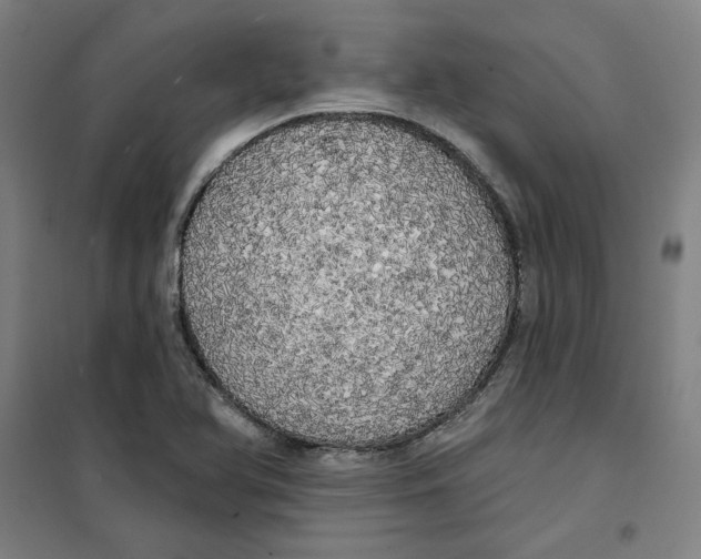 X0000100331366200807031225