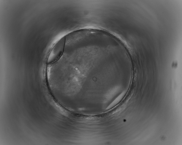 X0000100331367200807031225