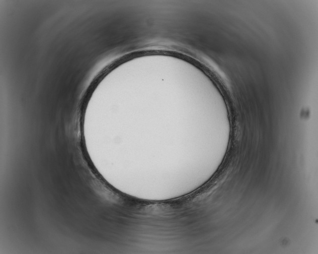 X0000100331368200807031225