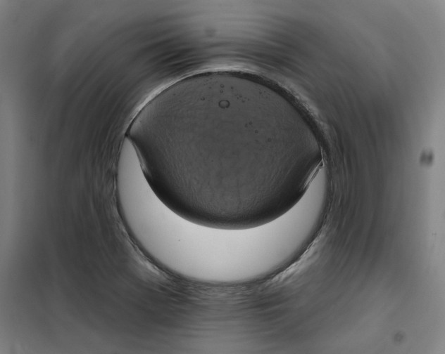 X0000100331369200807031225