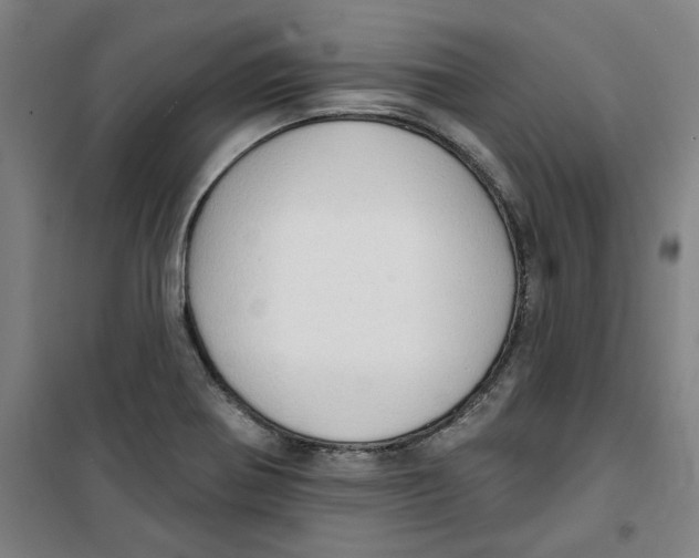 X0000100331370200807031225