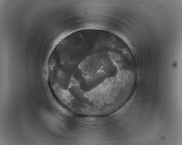 X0000100331371200807031225