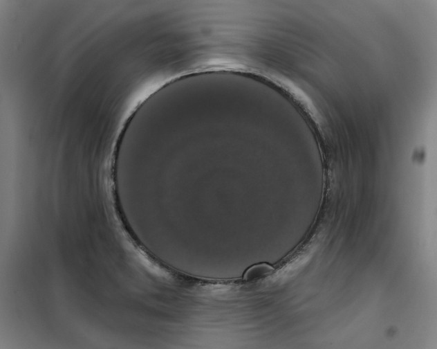 X0000100331373200807031225