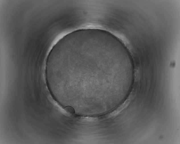 X0000100331374200807031225