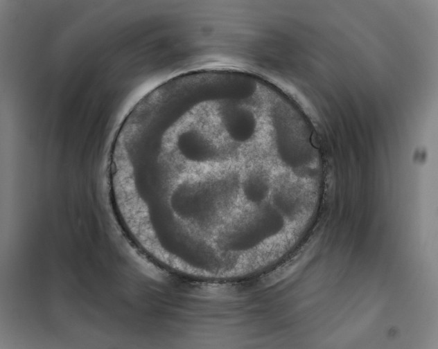 X0000100331375200807031225