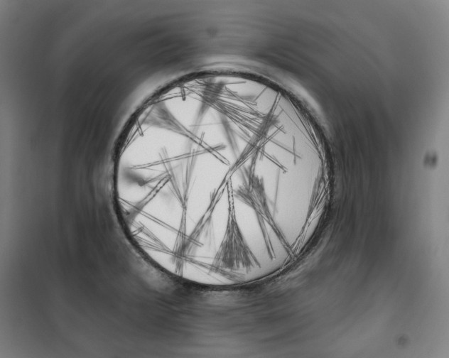 X0000100331376200807031225