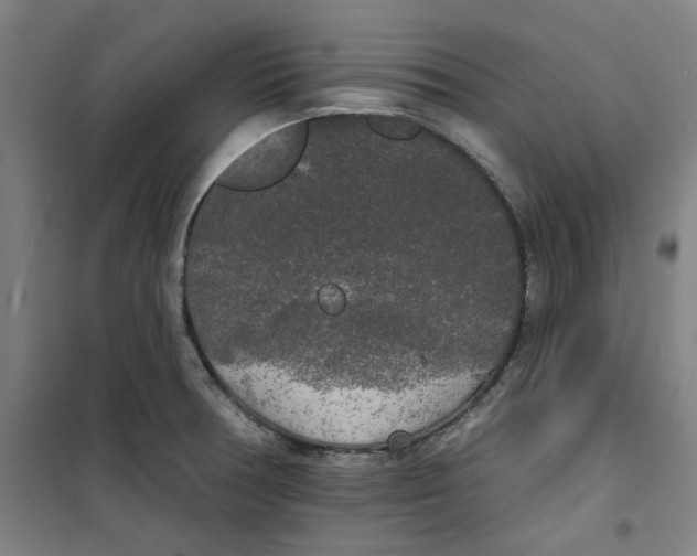 X0000100331378200807031225