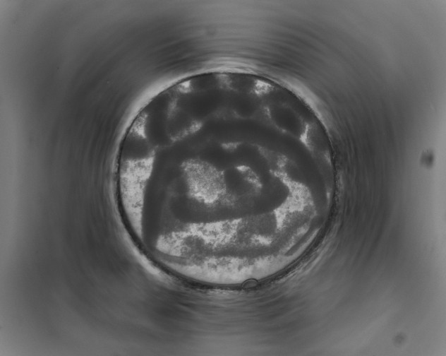 X0000100331379200807031225