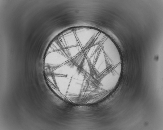 X0000100331380200807031224