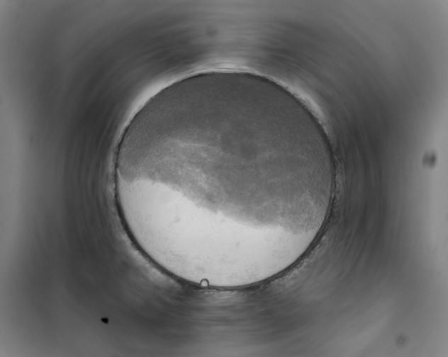 X0000100331382200807031224