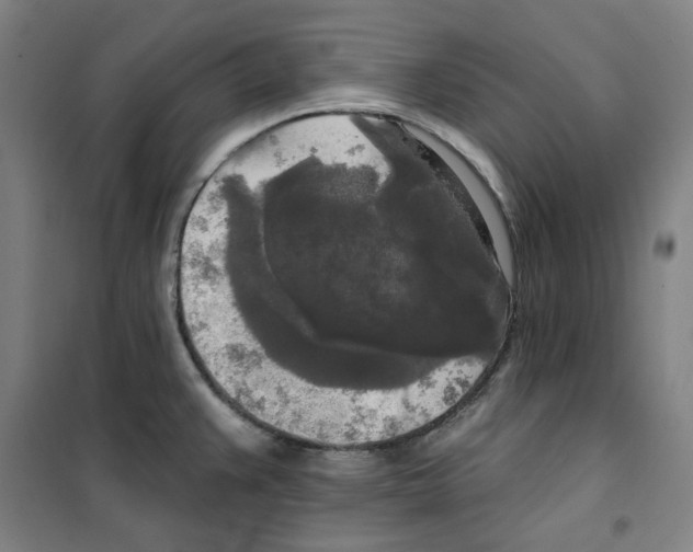 X0000100331383200807031224