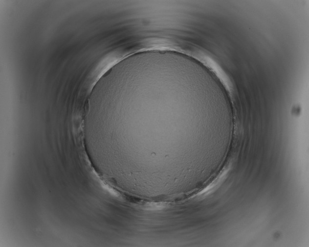 X0000100331385200807031224