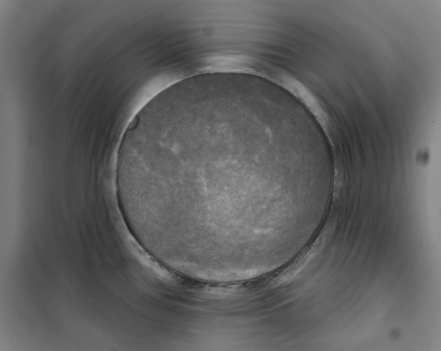 X0000100331386200807031224