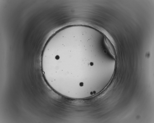 X0000100331388200807031224