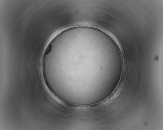 X0000100331389200807031224