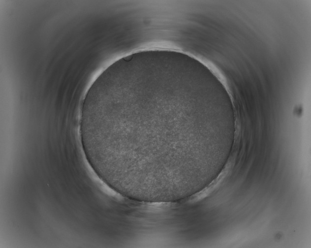 X0000100331390200807031224