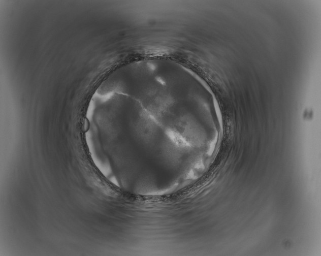 X0000100331393200807031223