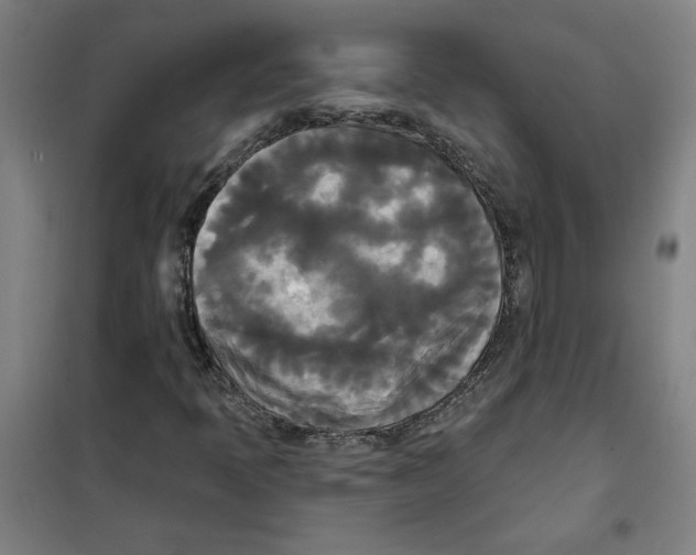 X0000100331397200807031223