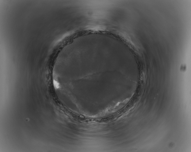 X0000100331398200807031223