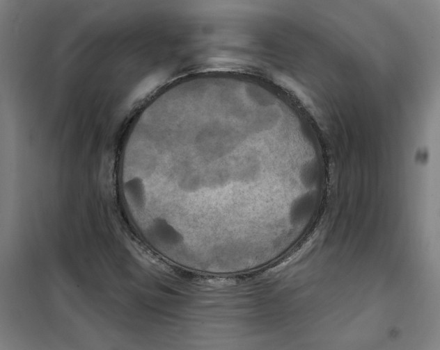 X0000100331403200807031223