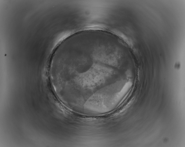 X0000100331405200807031223