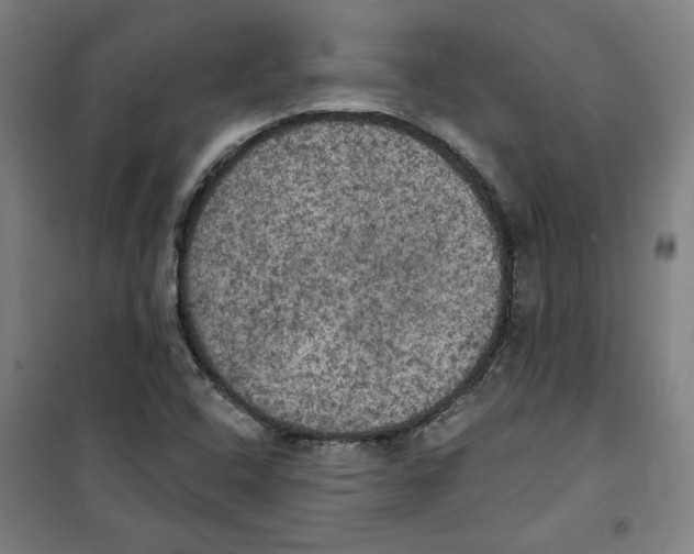 X0000100331408200807031224