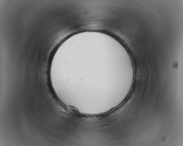 X0000100331410200807031224