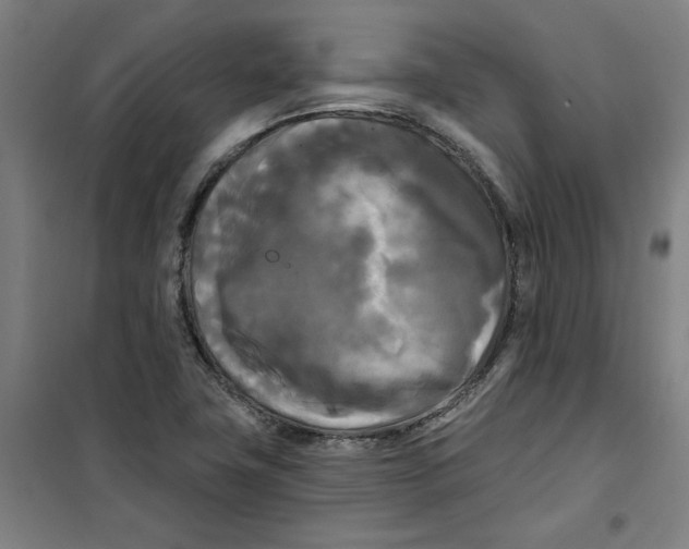 X0000100331411200807031224