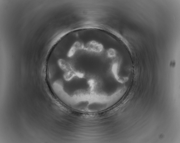 X0000100331415200807031224