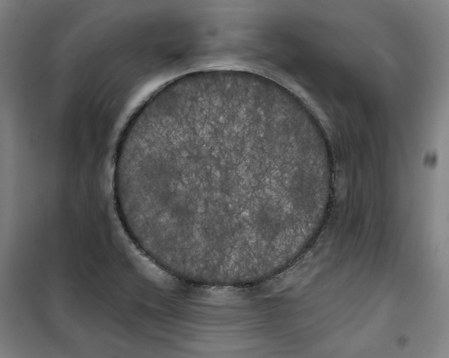 X0000100331416200807031224