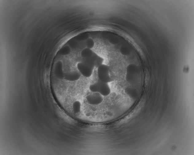 X0000100331417200807031224