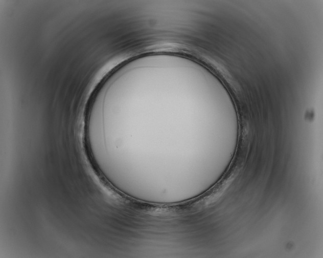 X0000100331418200807031224