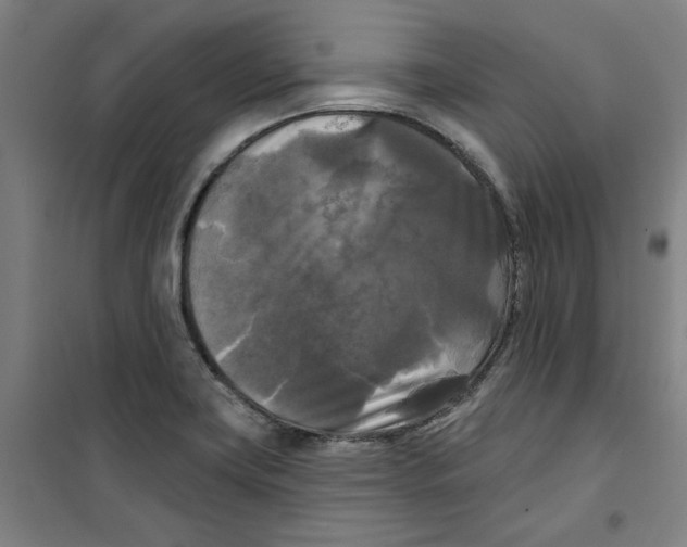 X0000100331419200807031224