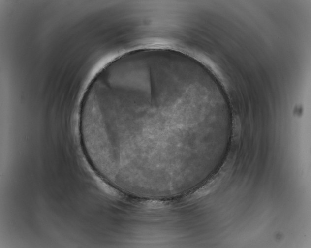 X0000100331424200807031224