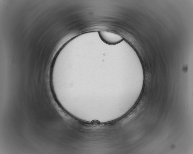 X0000100331426200807031224