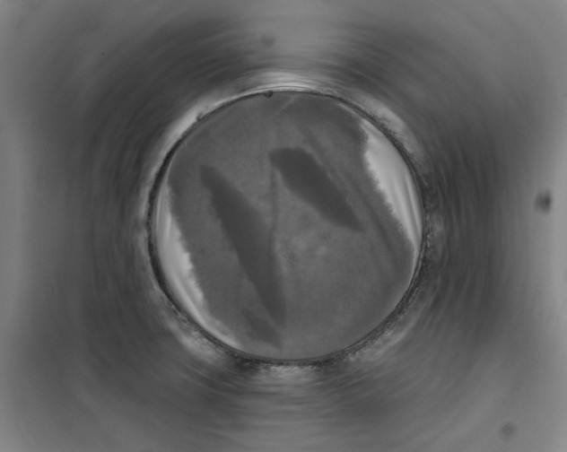 X0000100331427200807031224