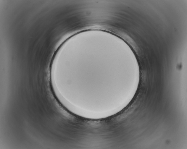 X0000100331428200807031224