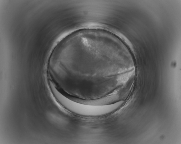 X0000100331429200807031224